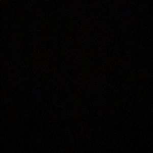 Meet your Posher, Demyris